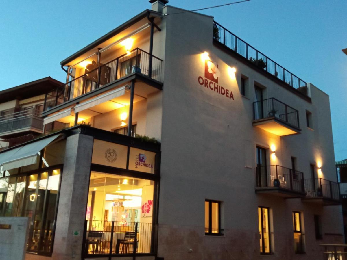 Hotel Orchidea Bardolino Ngoại thất bức ảnh